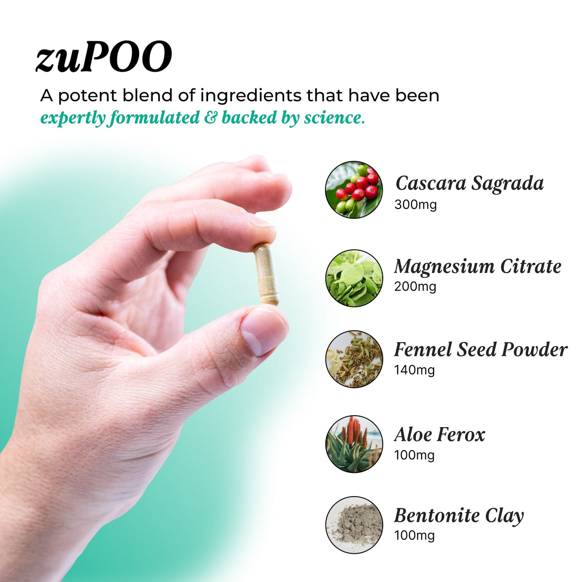 zuPoo