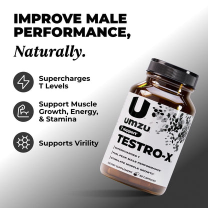 Testro-X